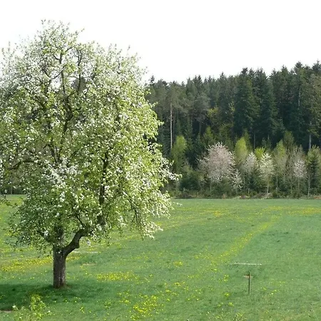 1 Fuchskreuzhof Comfortable Simmersfeld